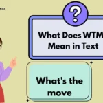 What Does WTMS Mean in Text