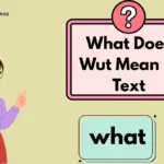 What Does Wut Mean in Text