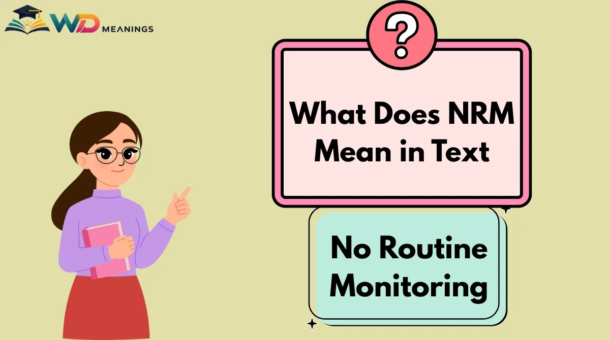Menu Text Examples What Does NRM Mean in Text? Understanding Its Meaning, Uses, and ...