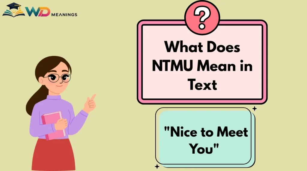 What Does NTMU Mean in Text