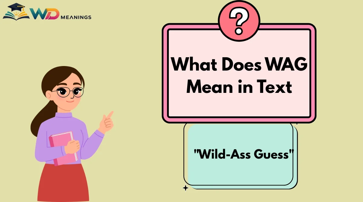 What Does WAG Mean in Text