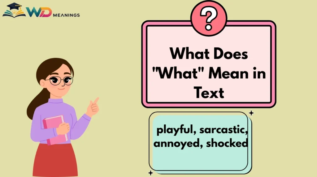 What Does "What" Mean in Text
